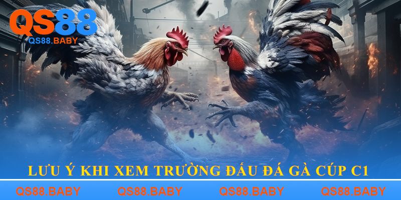 Lưu ý khi xem Trường đấu đá gà cúp C1 